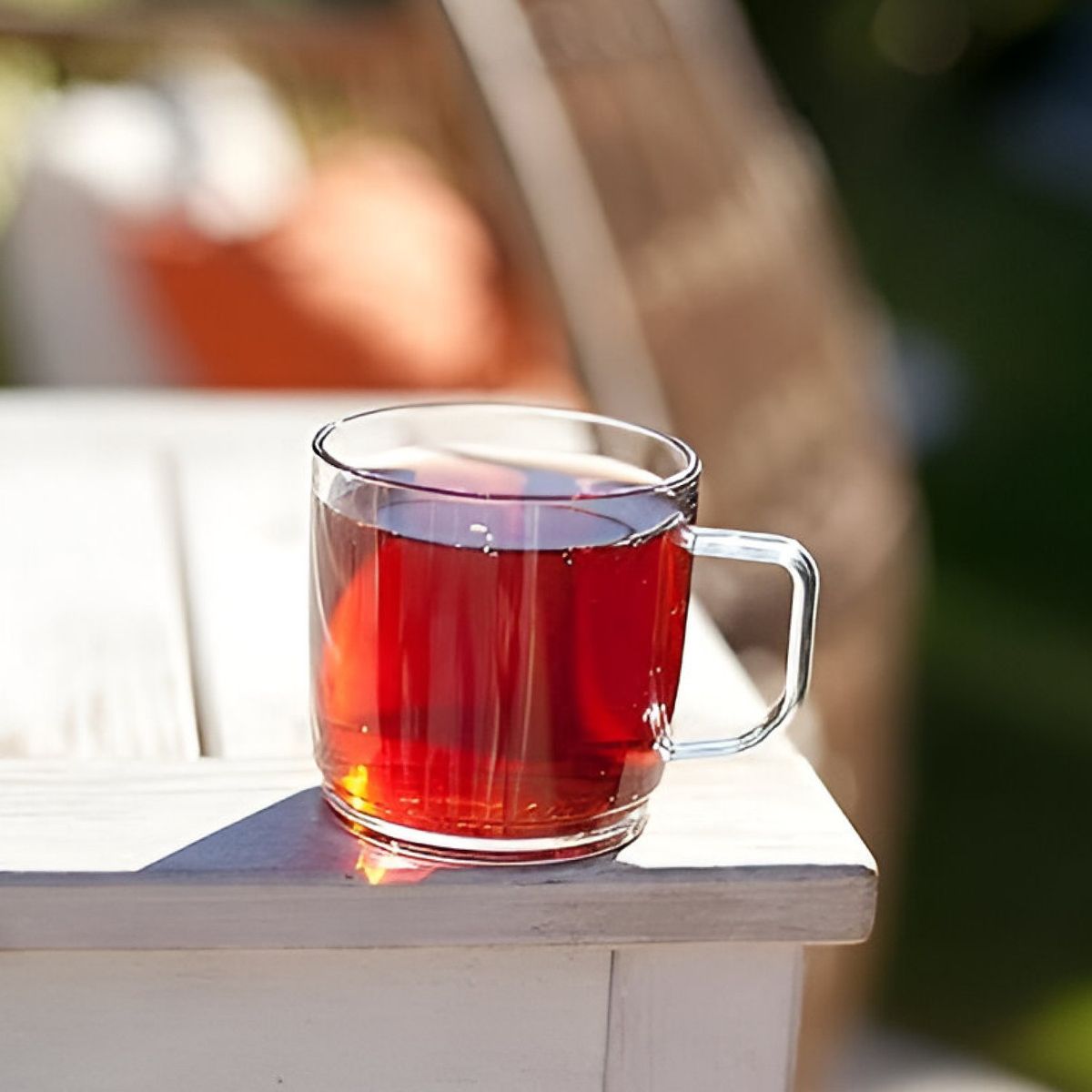 GASTROPLAST - Mug Policarbonato Transparente 300 Ml