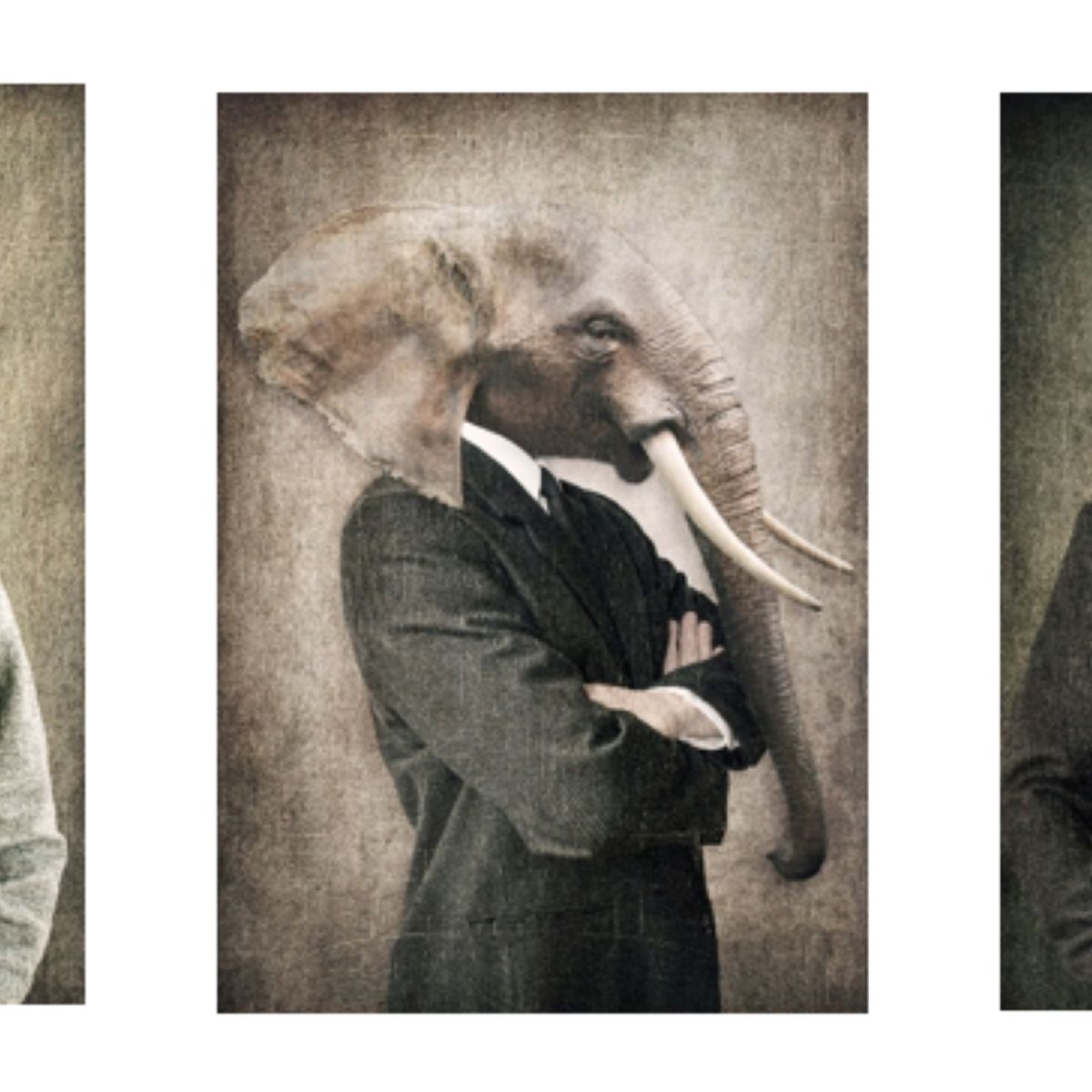 LOS REGALONES - Cuadro Canvas Imagen Animals en lienzo Pack X3 Uds 30x50cm Cu