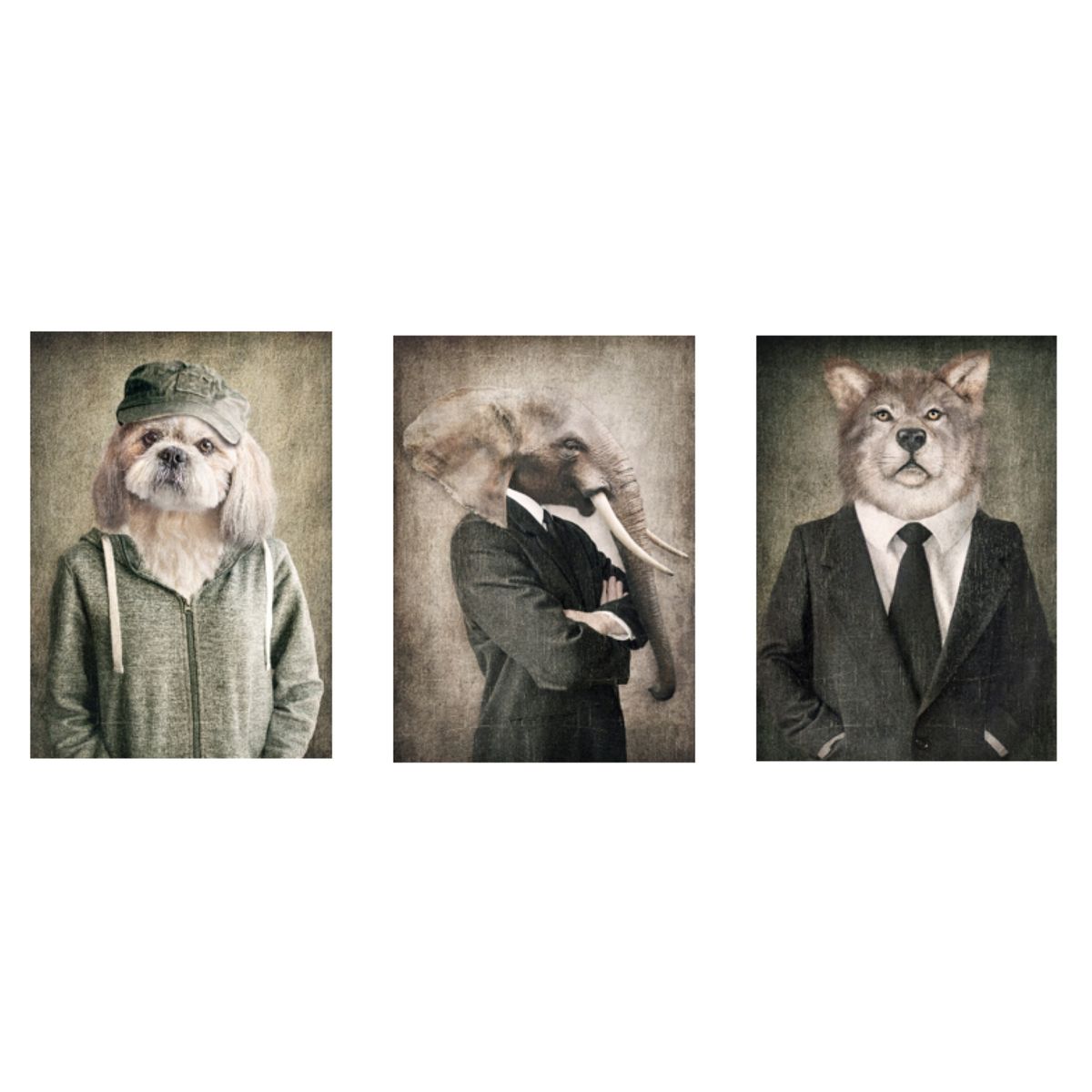 LOS REGALONES - Cuadro Canvas Imagen Animals en lienzo Pack X3 Uds 30x50cm Cu