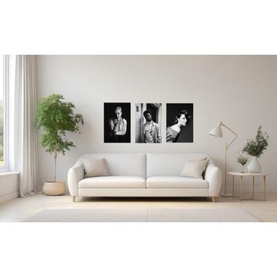 Imagen 2 del producto Cuadro Canvas Imagen Foto Artística en lienzo Pack X3 Uds 30x50cm Cu