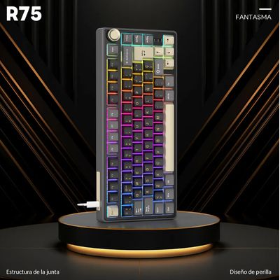Imagen 2 del producto Teclado Mecánico Gamer Compacto RK R75 Phantom Switch Silver RGB Español