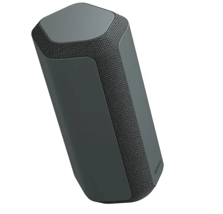 Parlante SRS-XE300 inalámbrico Negro