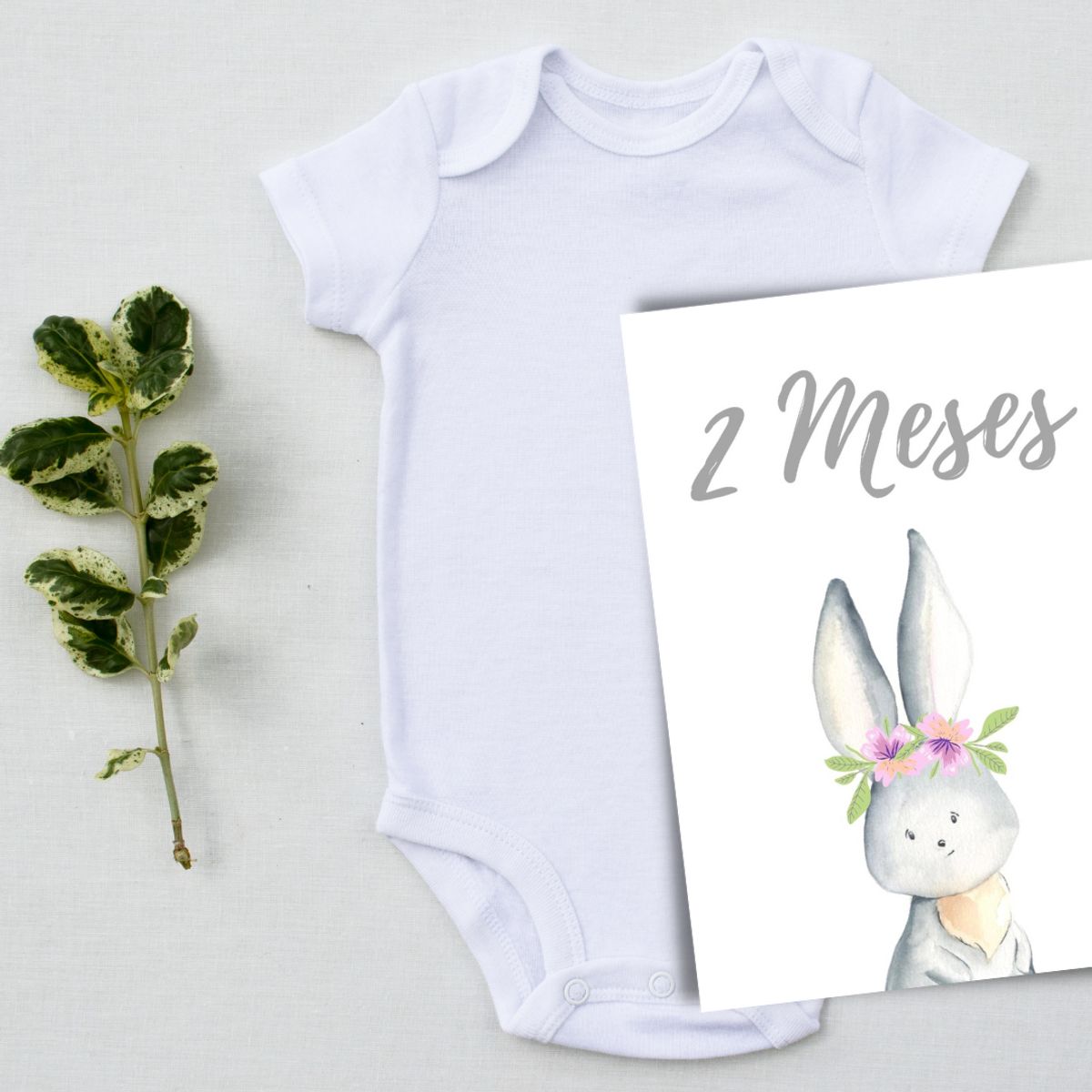 LAFANTINA - TARJETAS BABYSHOWER FOTOS MESES BEBÉ ANIMALI FLORI