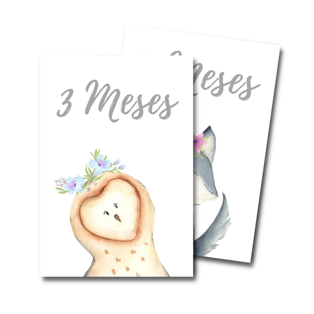 LAFANTINA - TARJETAS BABYSHOWER FOTOS MESES BEBÉ ANIMALI FLORI