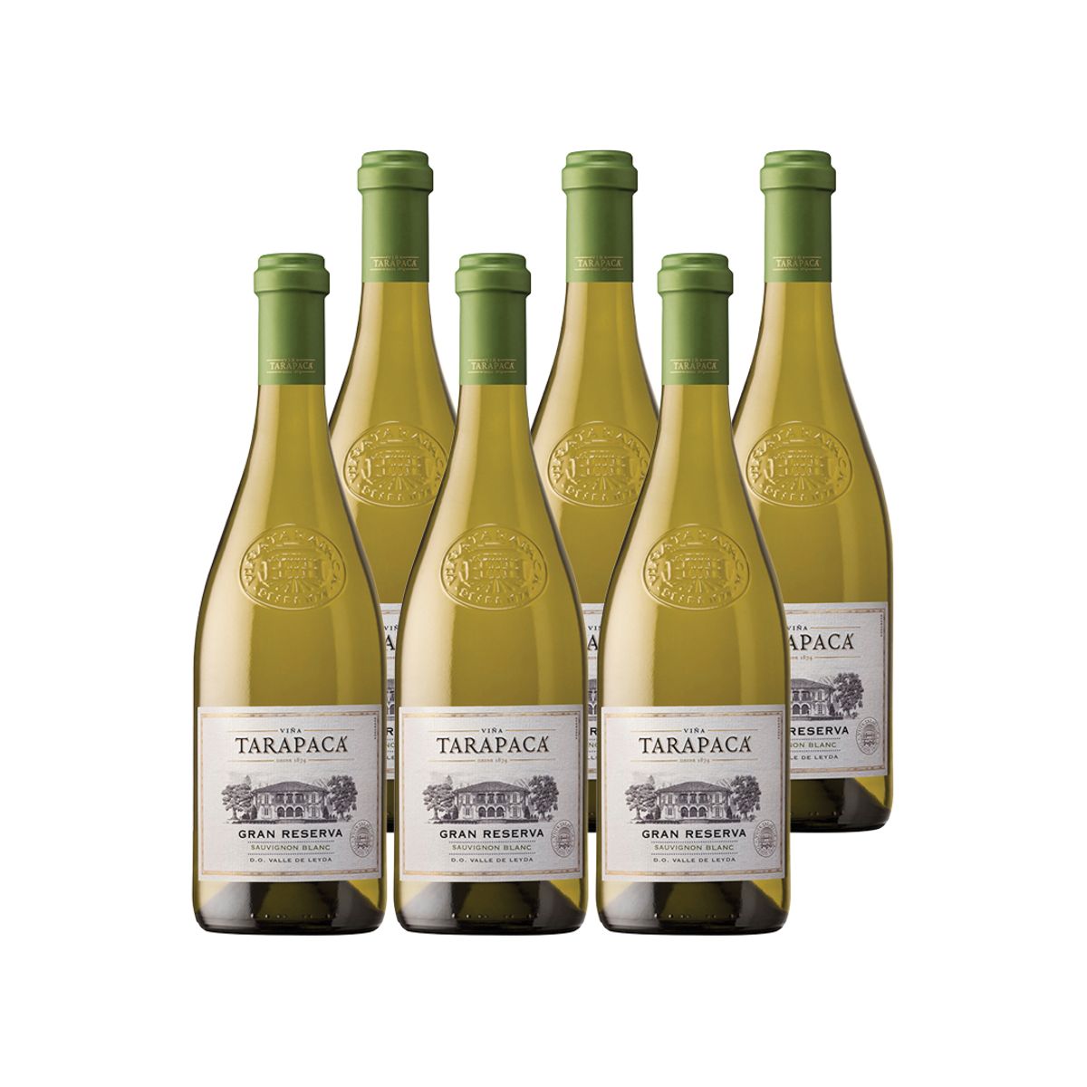 TARAPACA - 6x Vino Tarapacá Gran Reserva Sauvignon Blanc 750cc