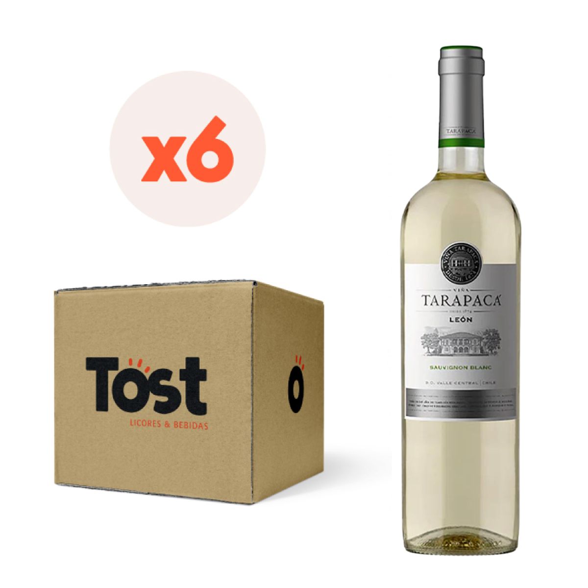 TARAPACA - 6x Vino Tarapacá León Sauvignon Blanc 750cc