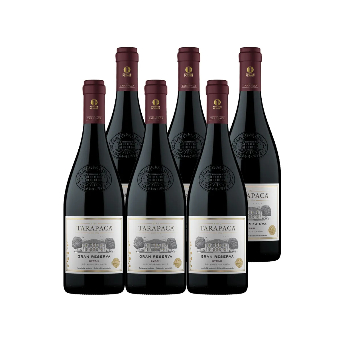 TARAPACA - 6x Vino Tarapacá Gran Reserva Syrah 750cc