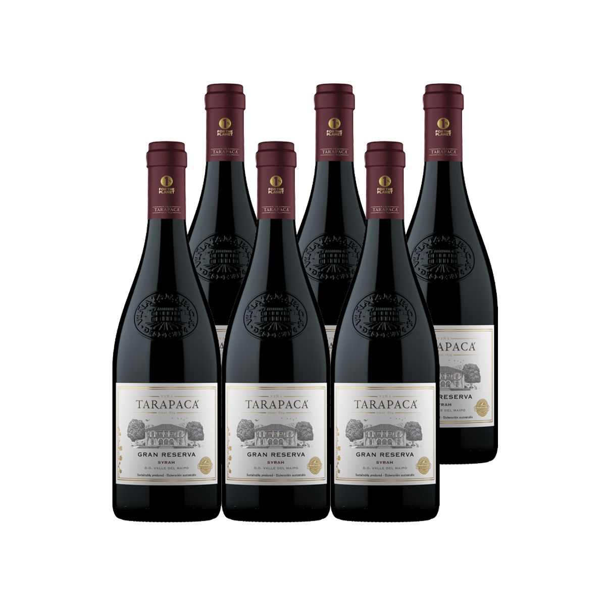 TARAPACA - 6x Vino Tarapacá Gran Reserva Syrah 750cc