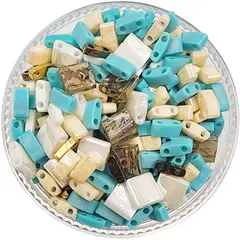 GENERICO - Mix de Tilas Miyuki 10gr - Multicolor