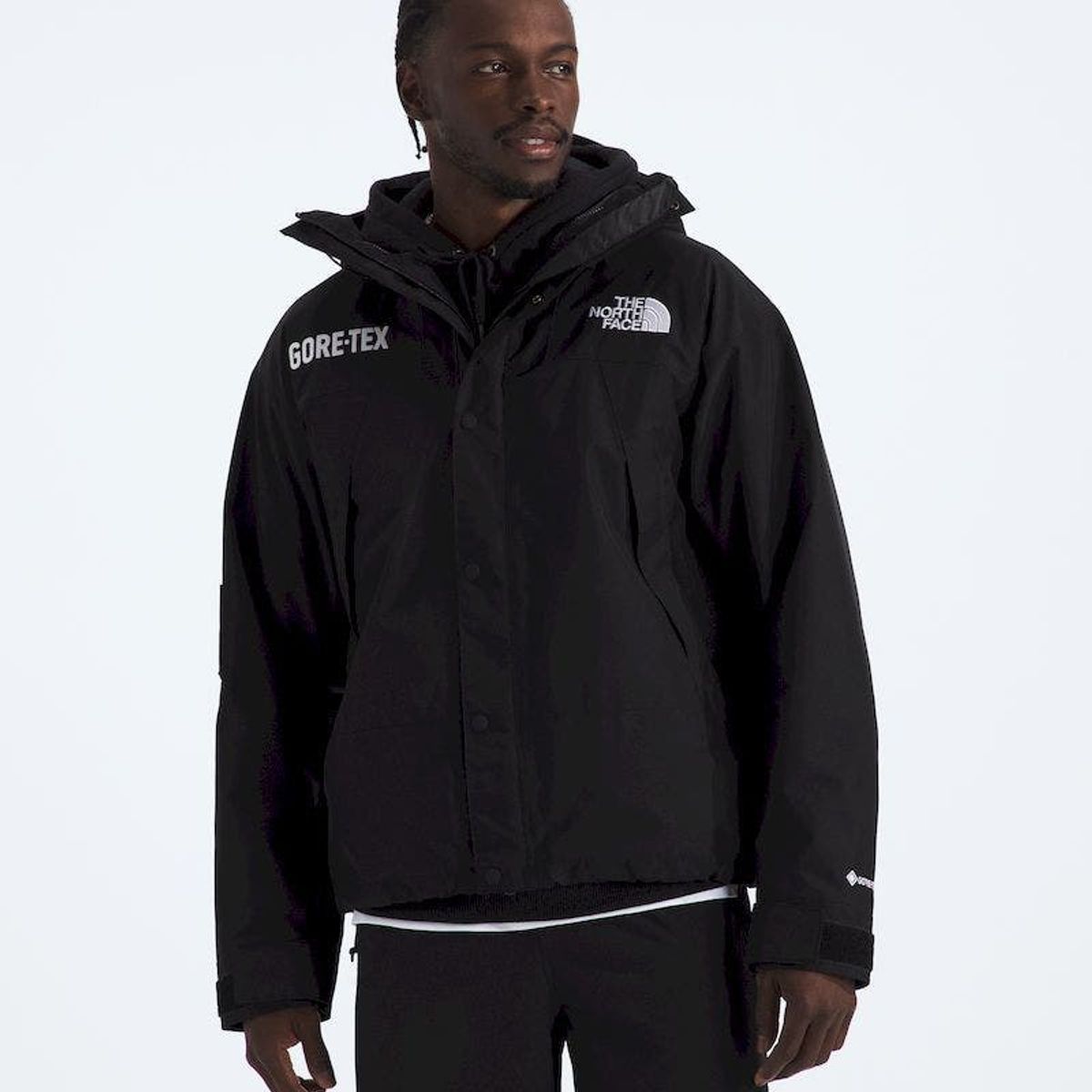 THE NORTH FACE - Chaqueta Impermeable Gtx Mountain Hombre - Negro