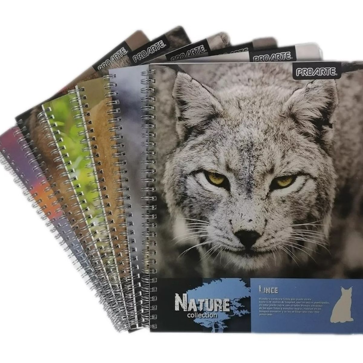 PROARTE - CUADERNO UNIVERSITARIO MATEMATICAS NATURE 7 MM 100 HOJAS