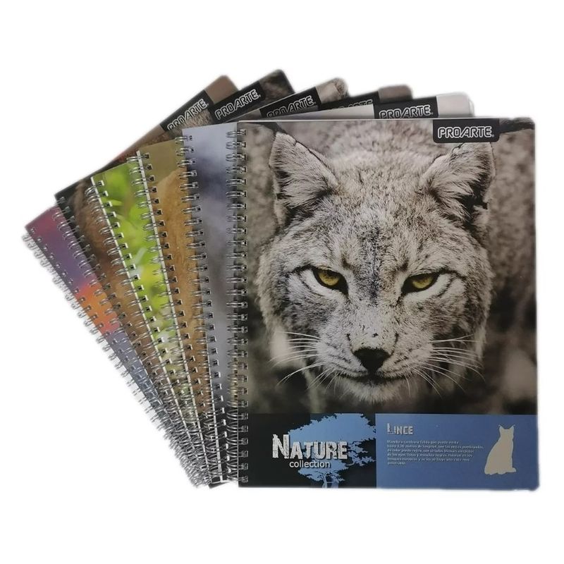 PROARTE - CUADERNO UNIVERSITARIO MATEMATICAS NATURE 7 MM 100 HOJAS