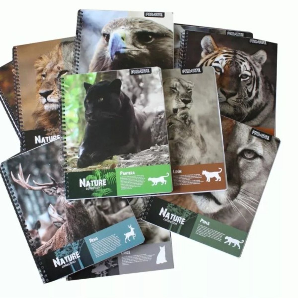 PROARTE - CUADERNO UNIVERSITARIO MATEMATICAS NATURE 7 MM 100 HOJAS