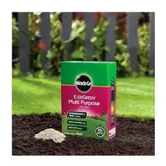 GENERICO - Semilla pasto lawn grass zonas de juego de niños y mascotas 420gr