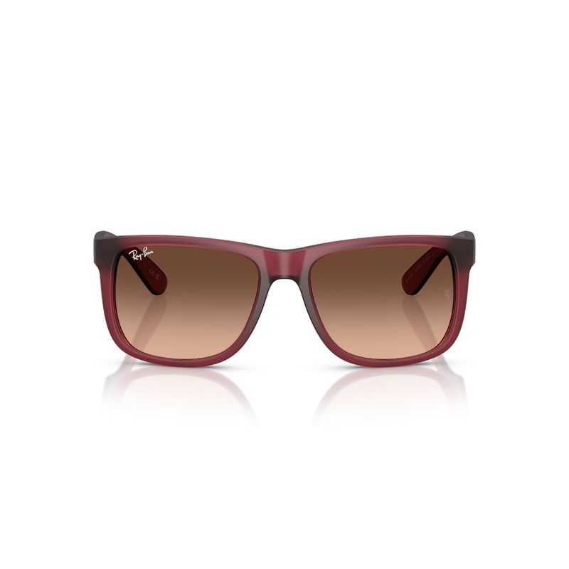 RAY BAN - Lentes de Sol Justin Violeta Ray-Ban