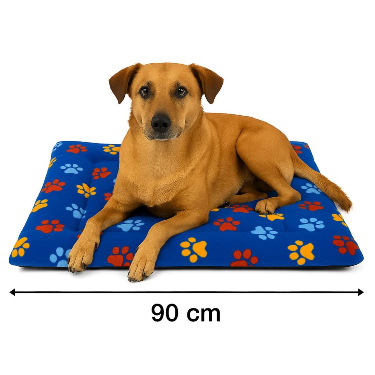 GENERICO - Cama colchoneta para mascota Polar 70x90 cm - Azul
