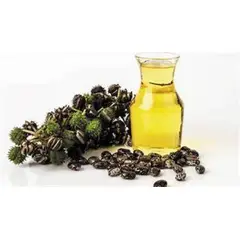 DIVINA - Aceite Prensado En Frío De Ricino 1 Lt