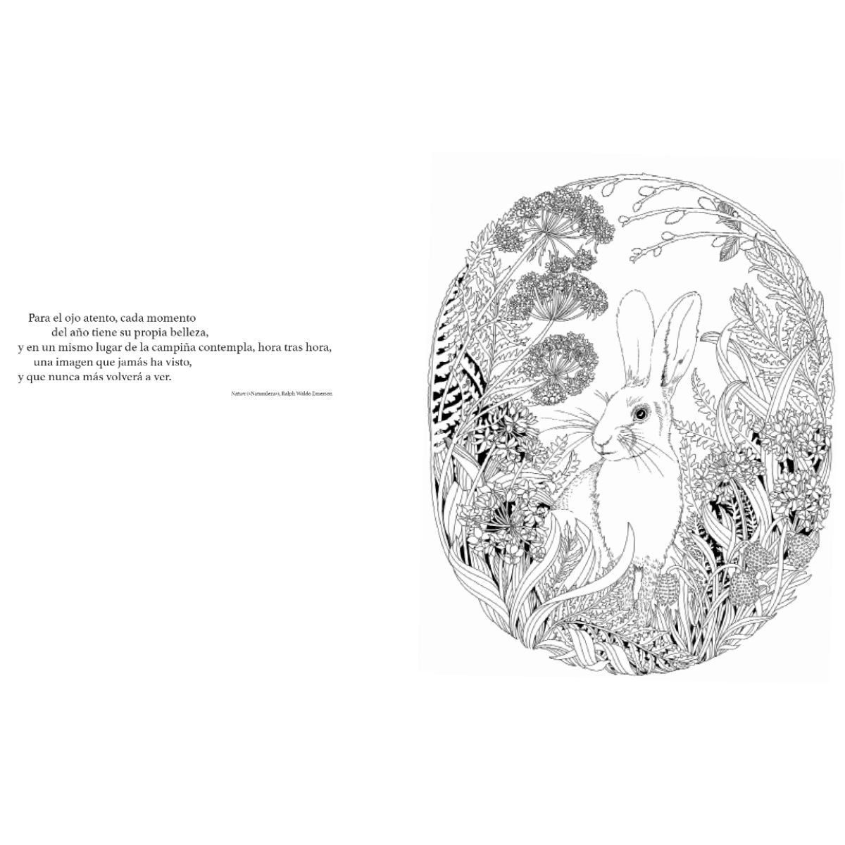 BLUME - Paseo por el bosque de Editorial Blume