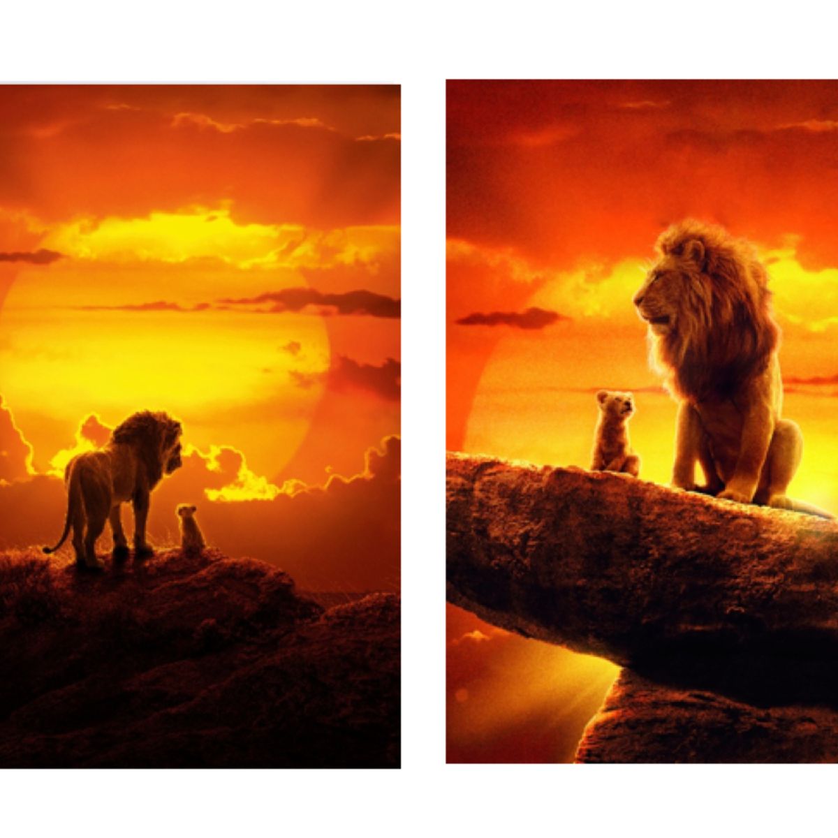 LOS REGALONES - Cuadro Canvas Imagen Rey leon en lienzo Pack X2 Uds 30x50cm Cu