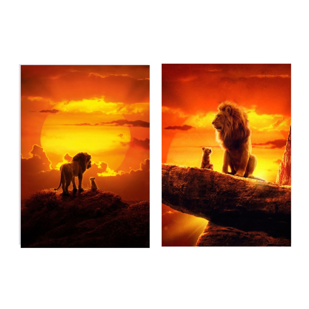 LOS REGALONES - Cuadro Canvas Imagen Rey leon en lienzo Pack X2 Uds 30x50cm Cu