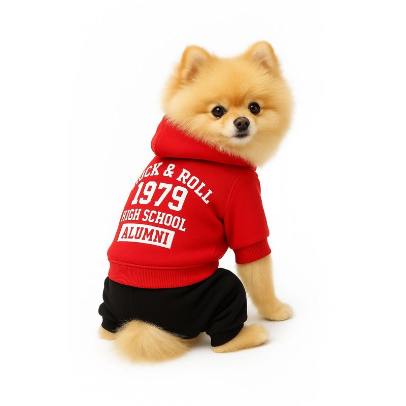 GENERICO - Ropa para mascota Rock polar Talla M 28x18 CM - Rojo