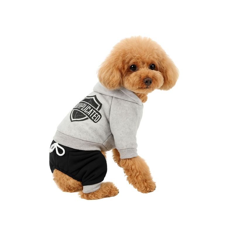 GENERICO - Ropa para mascota Rock polar Talla M 28x18 CM - Gris