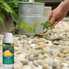 ANASAC - Bazooka Plus Herbicida de Acción Rápida 1L