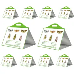 GENERICO - Pack 10 Trampas Para Polillas De Despensa