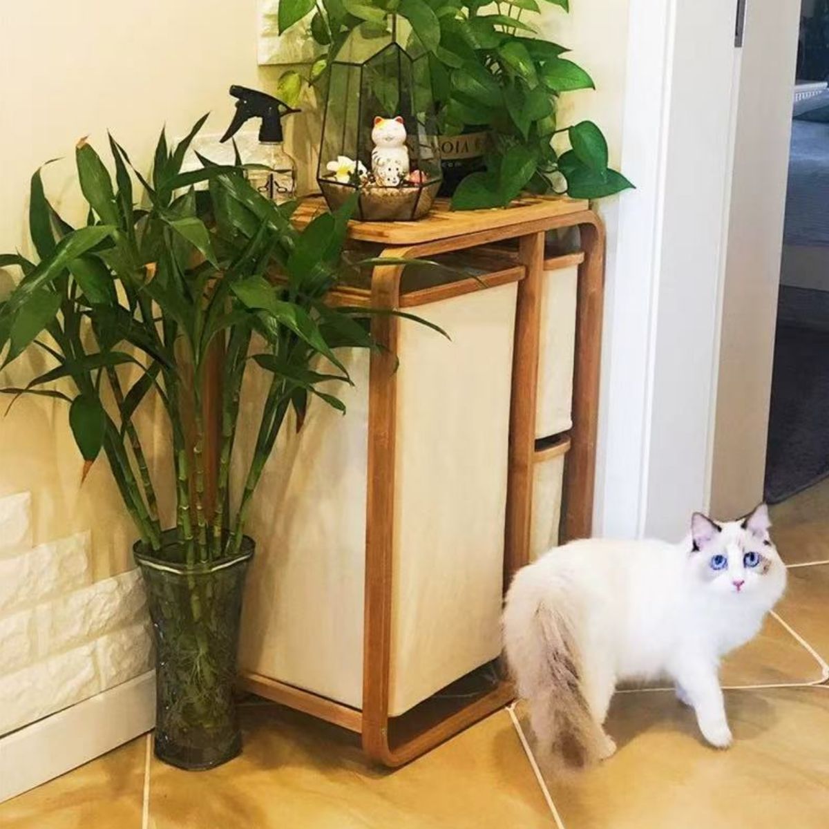 HOMER OUTDOOR - Cesto De Ropa Sucia Armable De Bambú Con Canastos Homer Outdoor