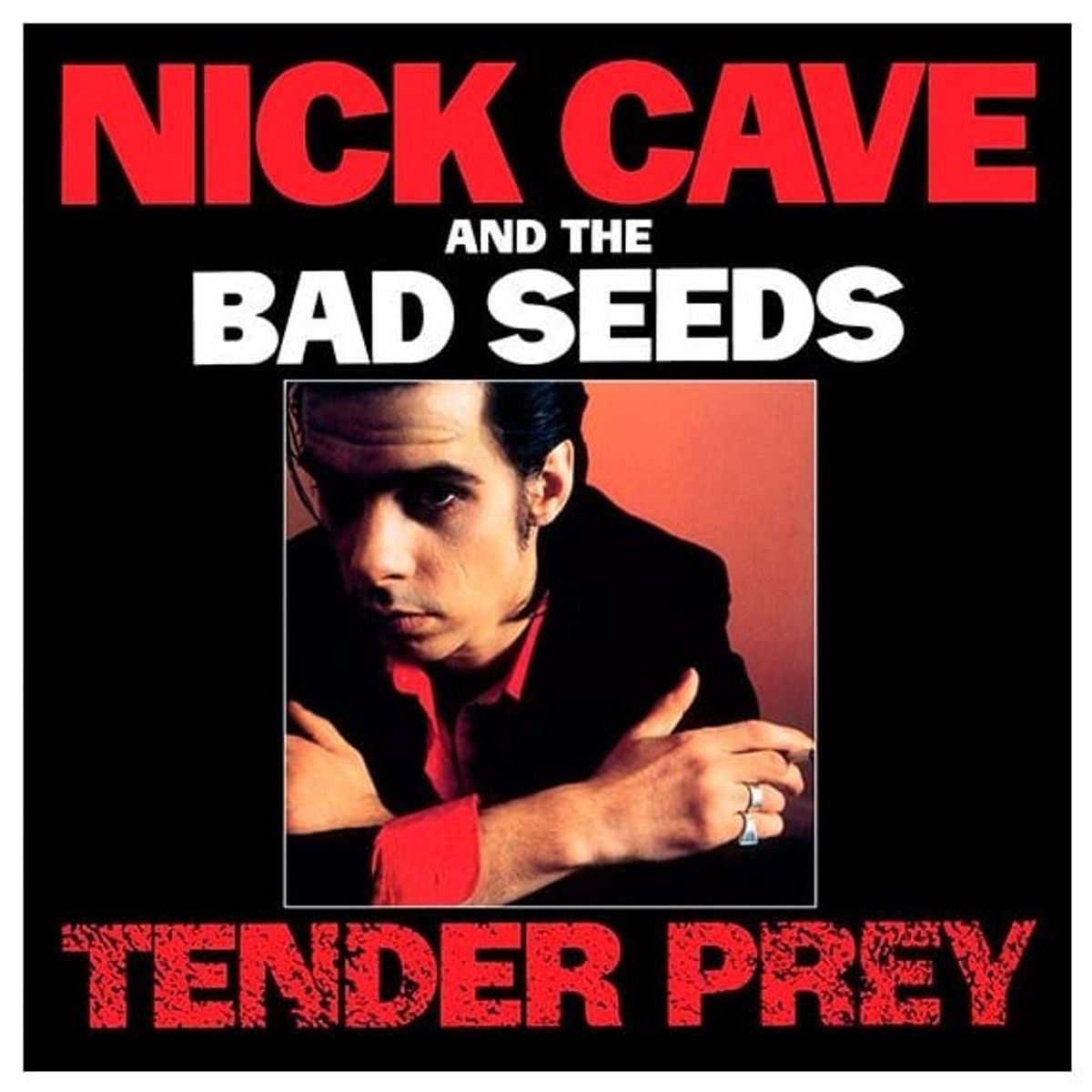 GENERICO - Nick Cave And The Bad Seeds - Tender Prey - Vinilo Simple