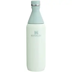 STANLEY - Botella Térmica All Day Slim Mist - 591 ml