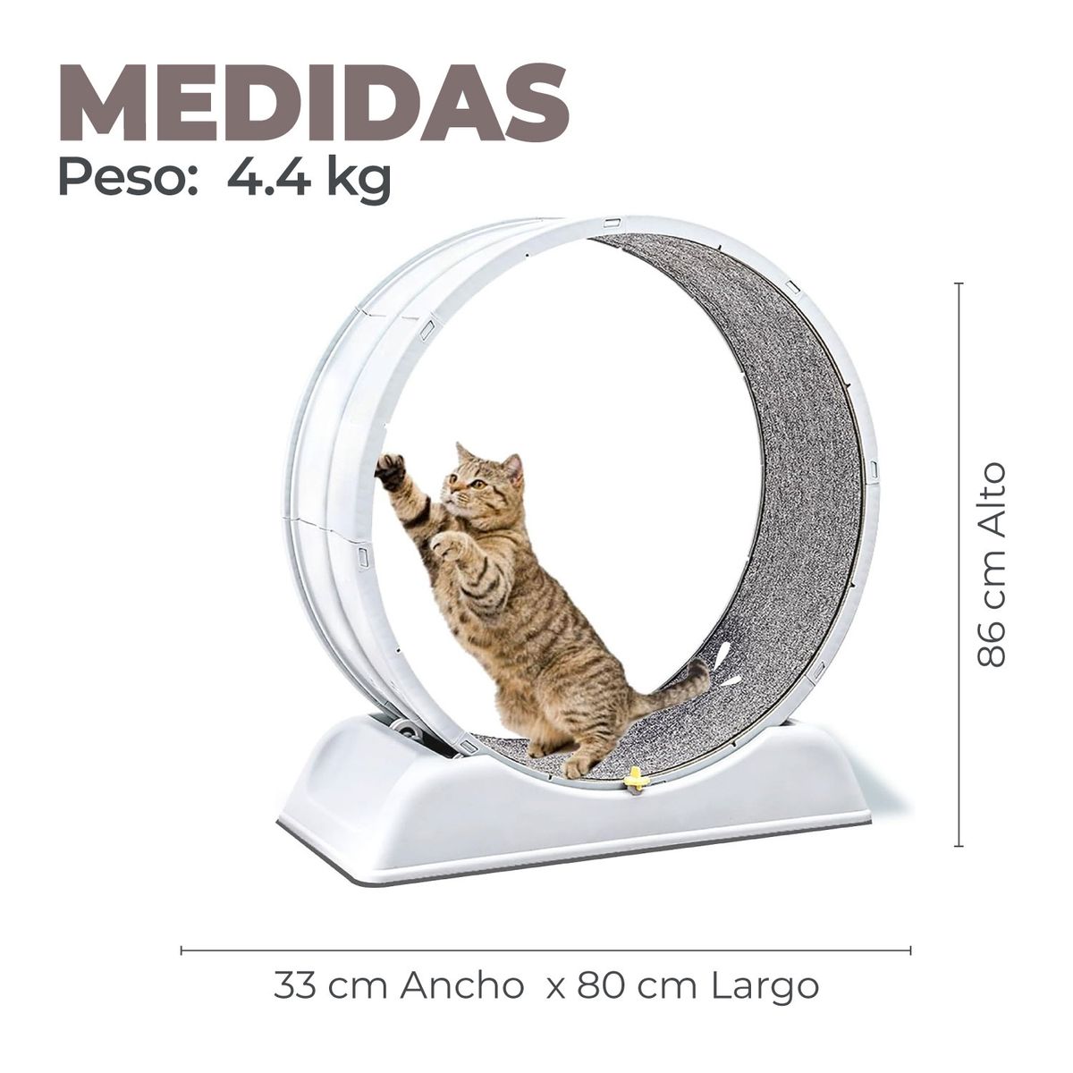 ALPHA - Rueda Para Gato Segura XXL de Entrenamiento