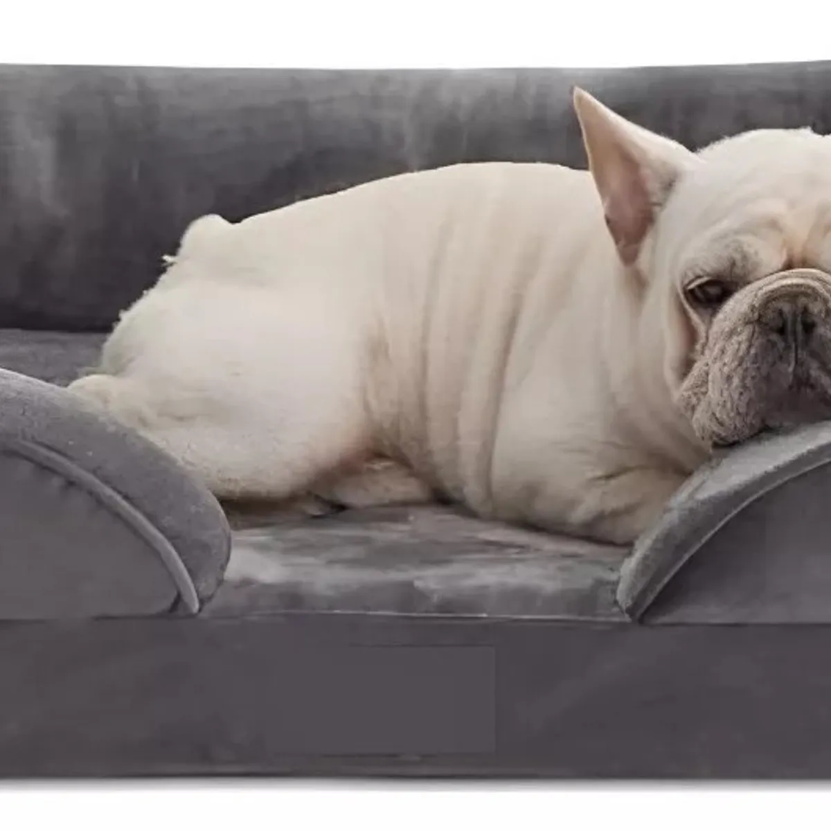 MUNDO MAGIA - Cama Ortopédica Perros Mascotas, 70 Cm