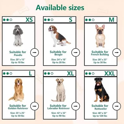 Imagen 2 del producto Cama Ortopédica Perros Mascotas, 70 Cm