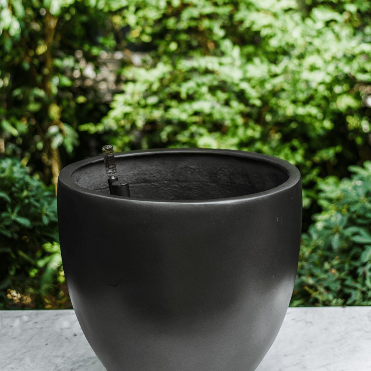 PLANT ME - Inca Negro Autorregante XL