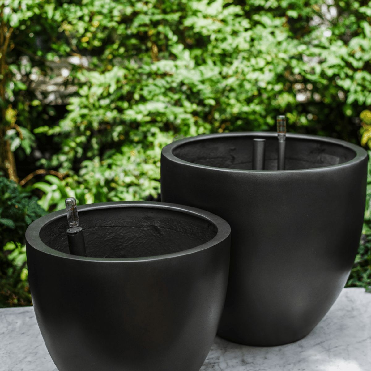 PLANT ME - Inca Negro Autorregante XL