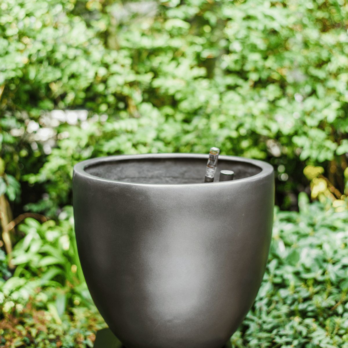PLANT ME - Inca Grafito Autorregante XL.