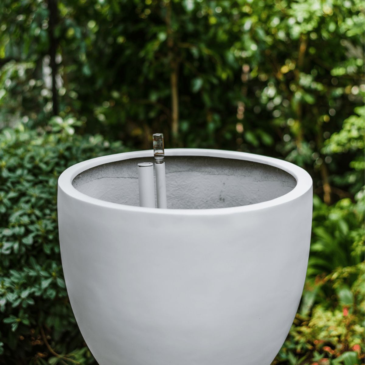 PLANT ME - Inca Blanco Autorregante XL
