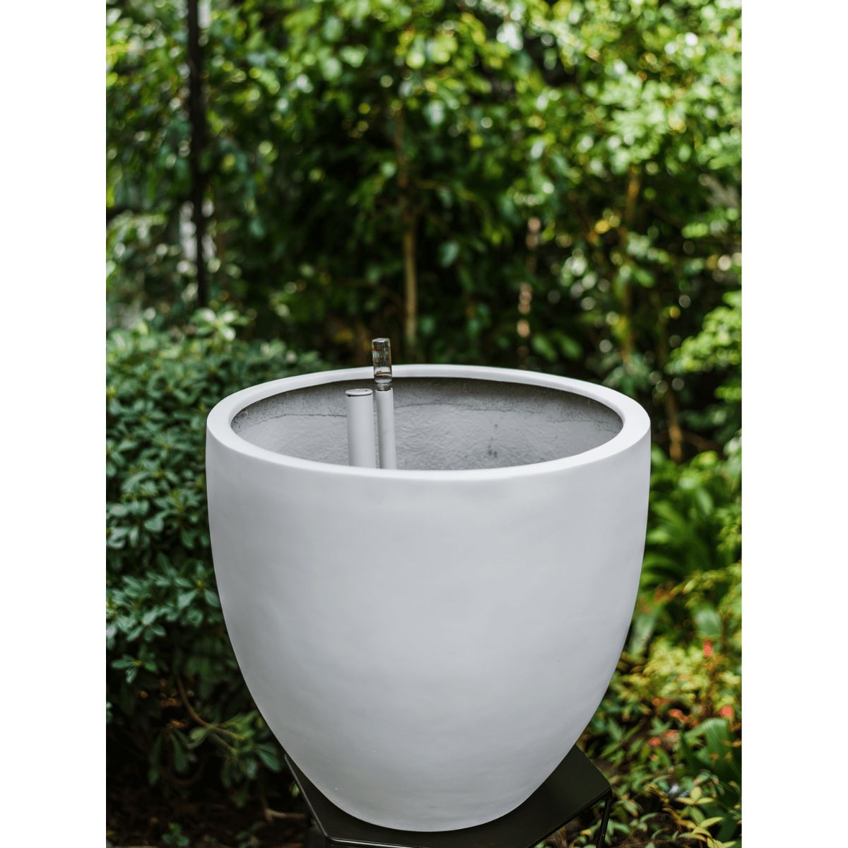 PLANT ME - Inca Blanco Autorregante XL