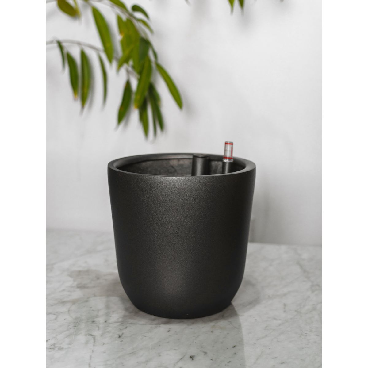 PLANT ME - Chono Negro Autorregante L