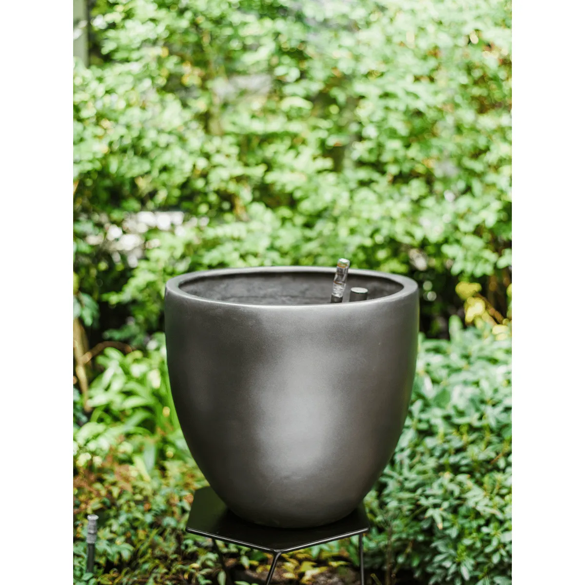 PLANT ME - Inca Grafito Autorregante XXL