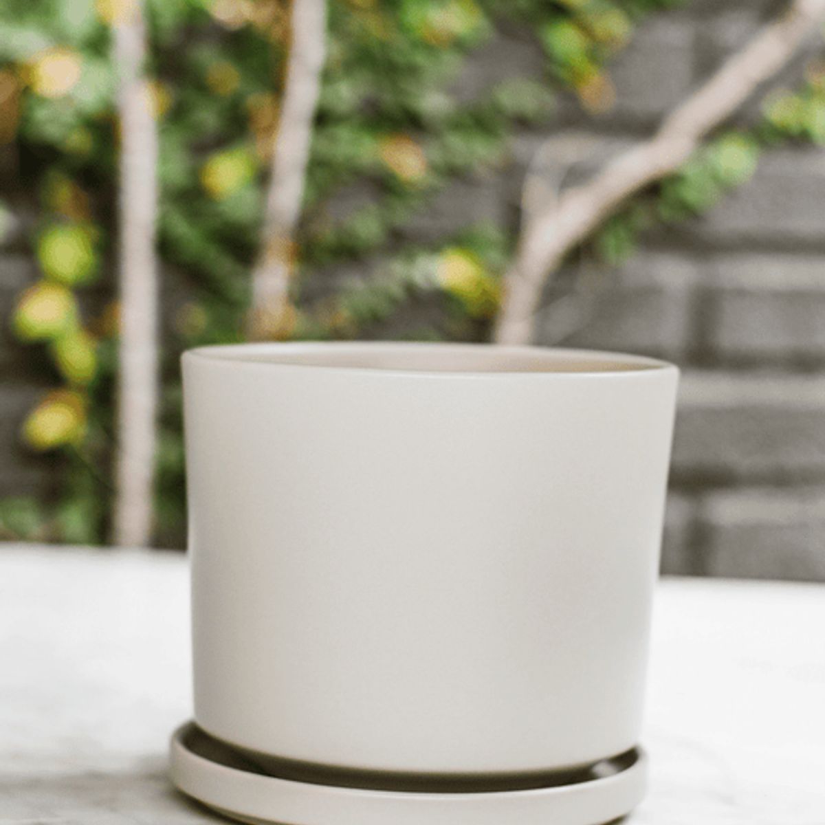 PLANT ME - Dinamarca Gris 19¸ Macetero ceramica