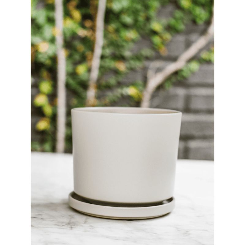 PLANT ME - Dinamarca Gris 16¸ Macetero Porcelana