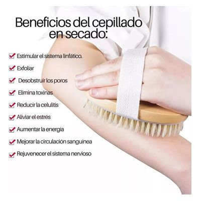 Imagen 2 del producto Cepillo De Cuerpo Seco Corporal Ovalado Cerdas Naturales