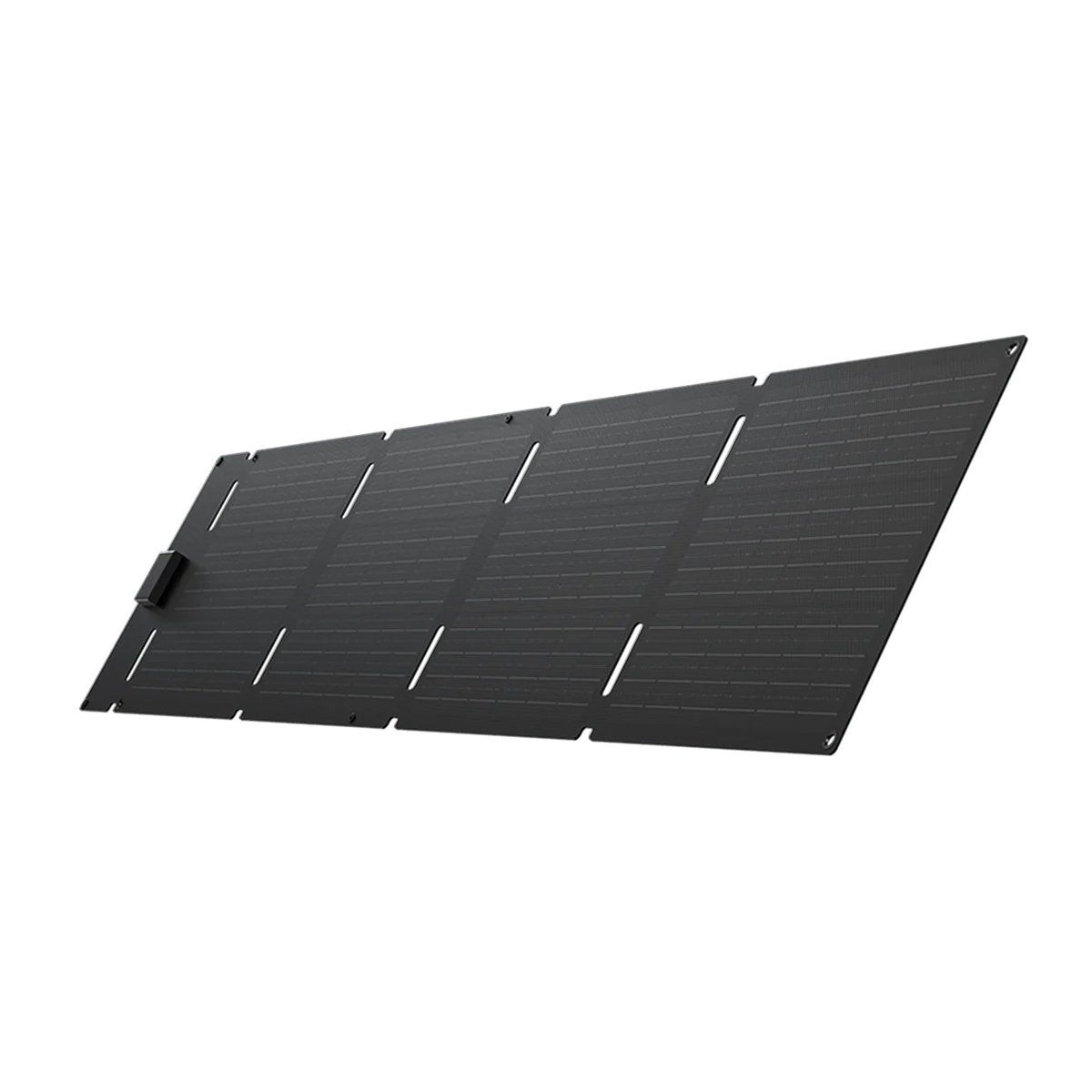 ECOFLOW - EcoFlow Panel Solar Portátil de 60W Tipo C