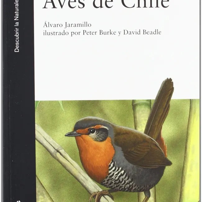 LYNX - Libro Aves De Chile - Álvaro Jaramillo
