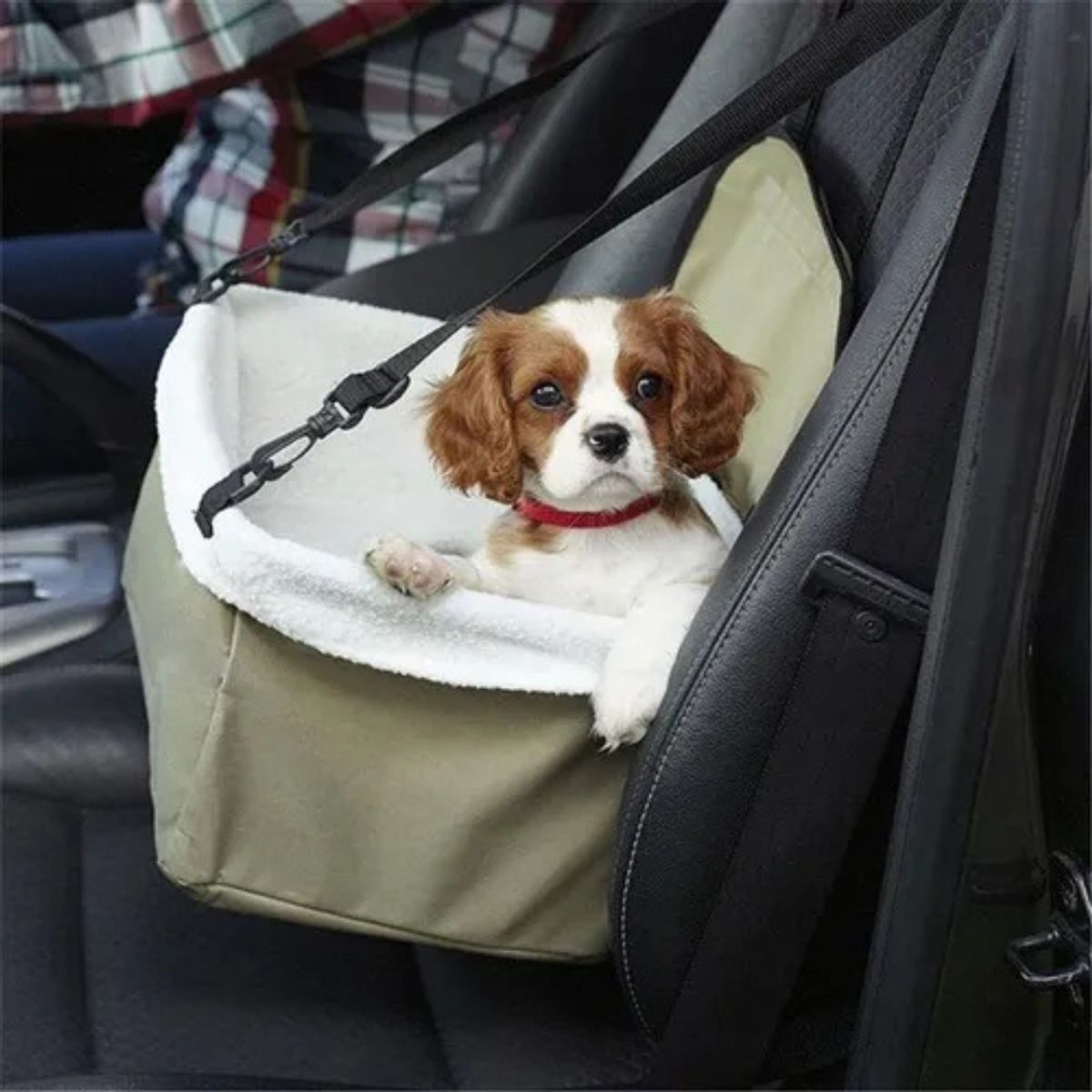 GENERICO - Asiento Auto para Mascotas Pequeñas con Arnés Seguro