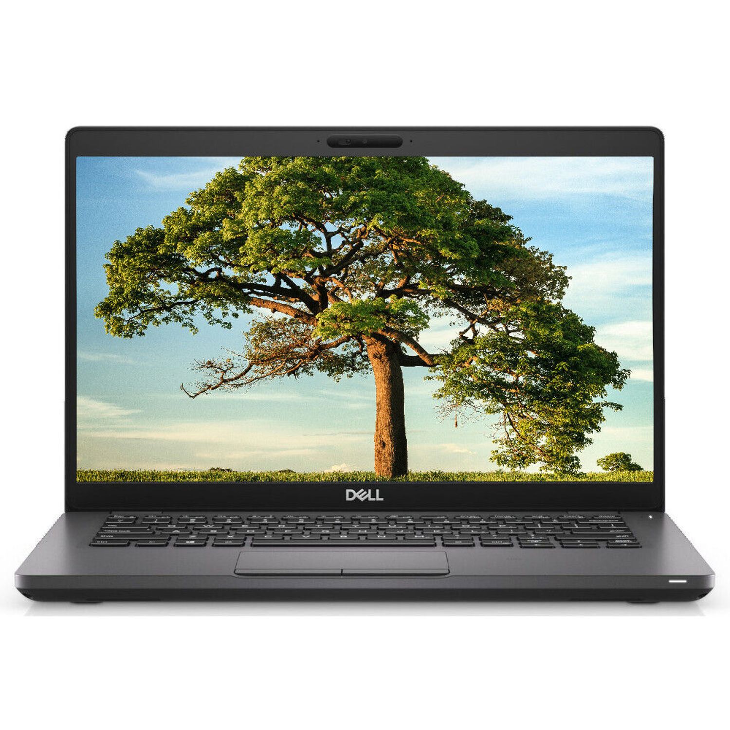 DELL Notebook DELL Intel Core i5 8 GB RAM 256 SSD | Falabella Chile