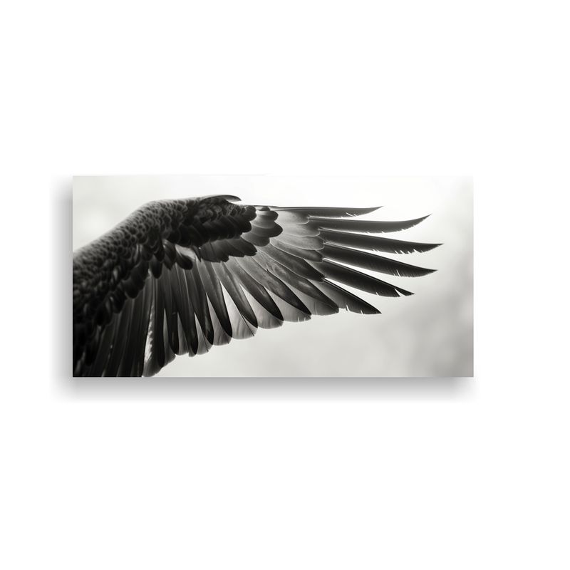 GENERICO - Pinturas Decorativas En Blanco Y Negro De 60x30 Cm