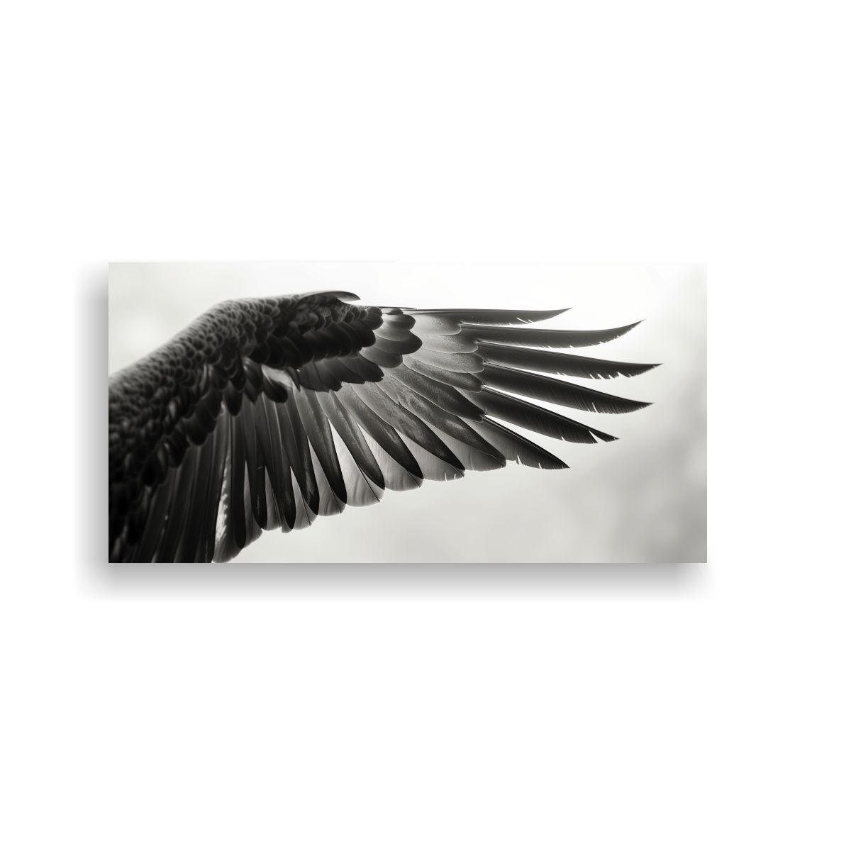 GENERICO - Pinturas Decorativas En Blanco Y Negro De 100x50 Cm